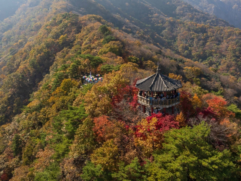 내장산국립공원 가을 단풍 풍경